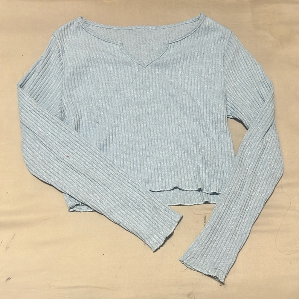 Light Blue Long Sleeved Crop Top
